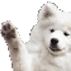 🐶