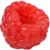 🤩