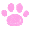 🐾