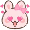 🐰