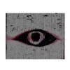 👁