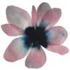 🌸