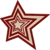 🌟