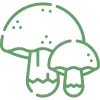 🍄