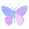 🦋