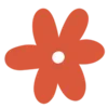 🌺