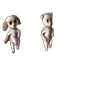 👻