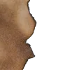 🩶