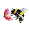 🐝