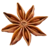 ⭐️