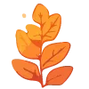 🍂