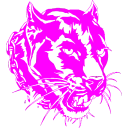 ♌️