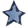🌟