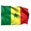 🇸🇳