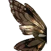 🦋