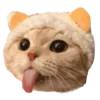 😼