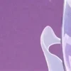 🤩