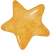 🌟