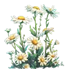 🌸