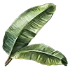 🌿