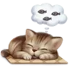 😴