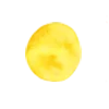 🟡