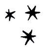 🌟