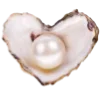 🐚