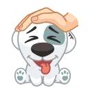 🐶
