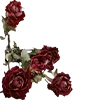 🥀