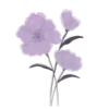 🌷