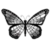 🦋