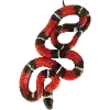 🐍