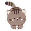 🐈‍⬛️