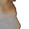 🩶