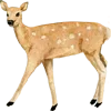 🦌