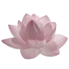 🌸