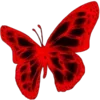 🦋