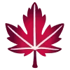 🍁