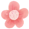 🌺
