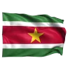 🇸🇷