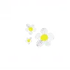 🌸