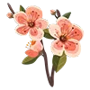 🌸