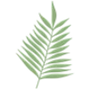 🌿
