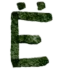 🟢