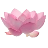 🌸