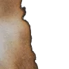 🩶
