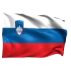 🇸🇮