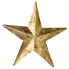 ⭐️