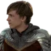 🛡️